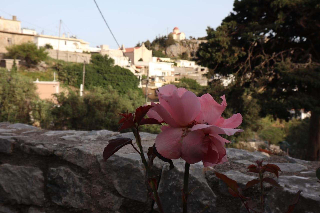 Villa Petasos House - Garden - Sea View Sellía Esterno foto