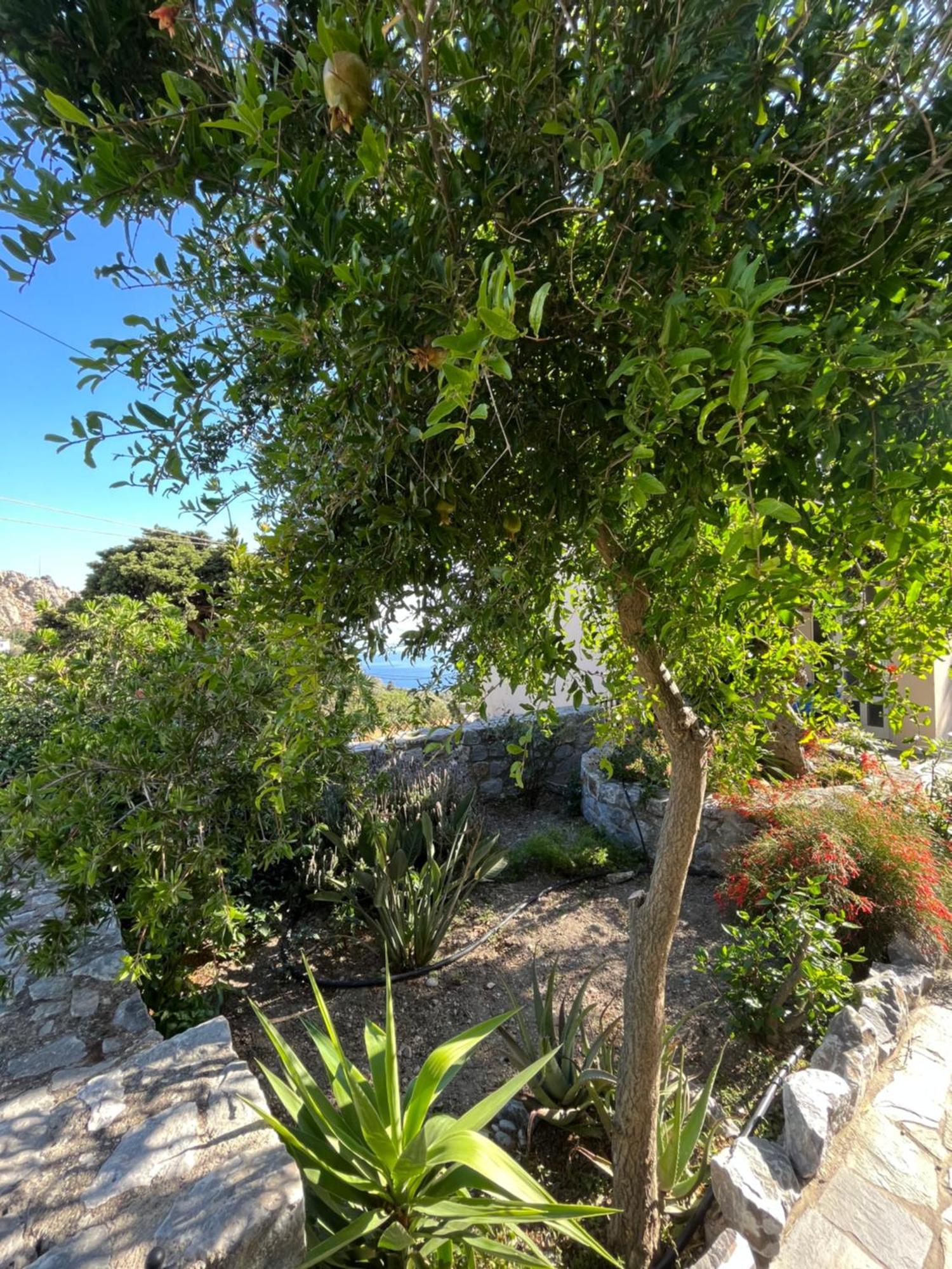 Villa Petasos House - Garden - Sea View Sellía Esterno foto